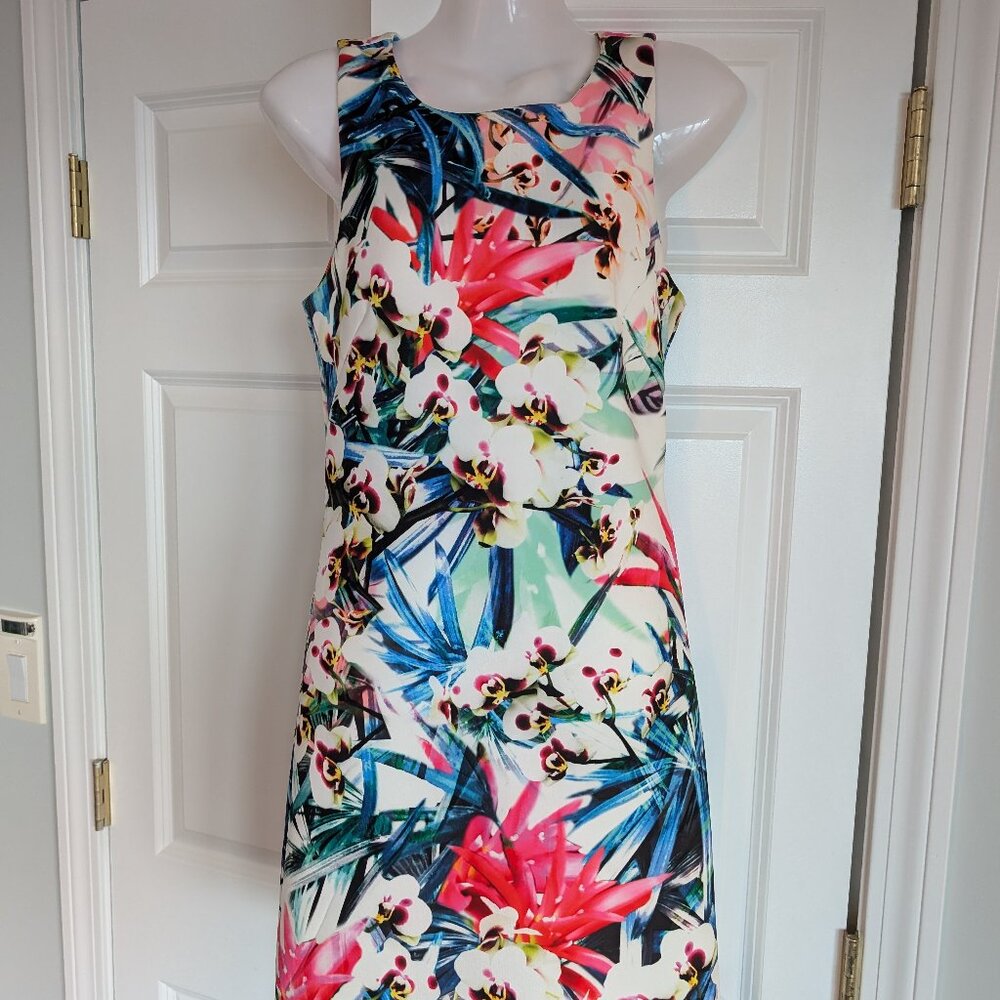 Nicole Miller Dress